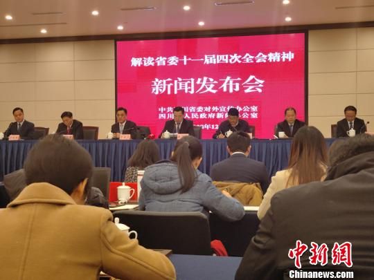 图为新闻发布会现场。 王鹏 摄